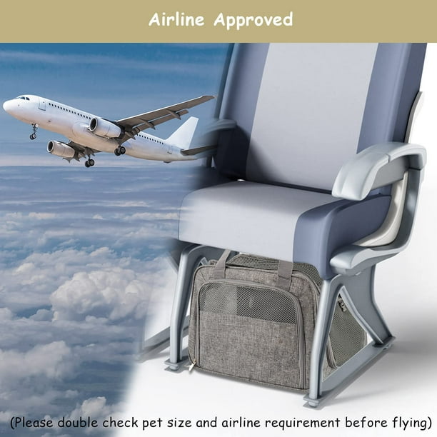Dog carrier for hot sale flying