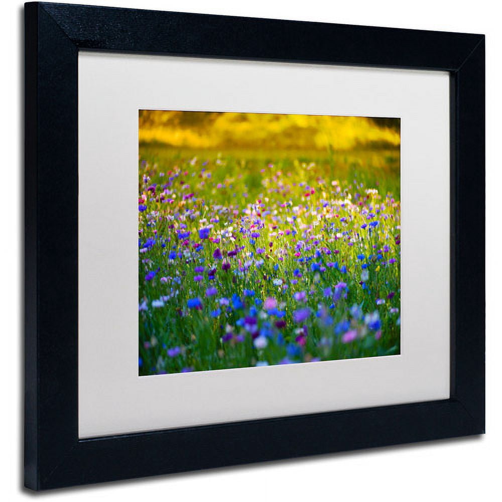 Trademark Fine Art "Candy Fields" Canvas Art by Philippe Sainte-Laudy, White Matte, Black Frame