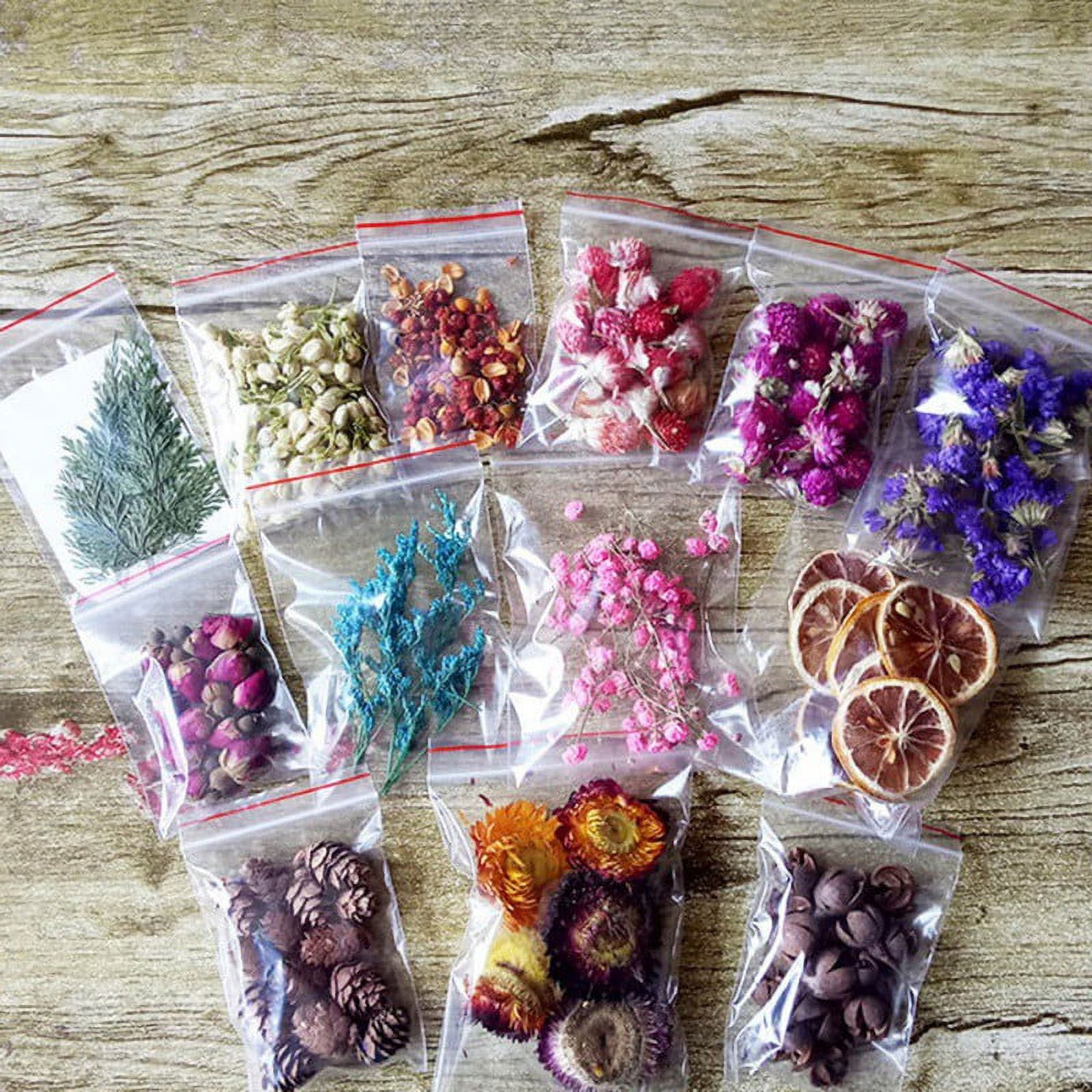 1Box Real Dried Flower Dry Plants Filling Material For DIY Epoxy Resin  Jewelry Making Craft Aromatherapy Candle Accessories