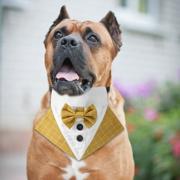 Tie with best sale dogs on it