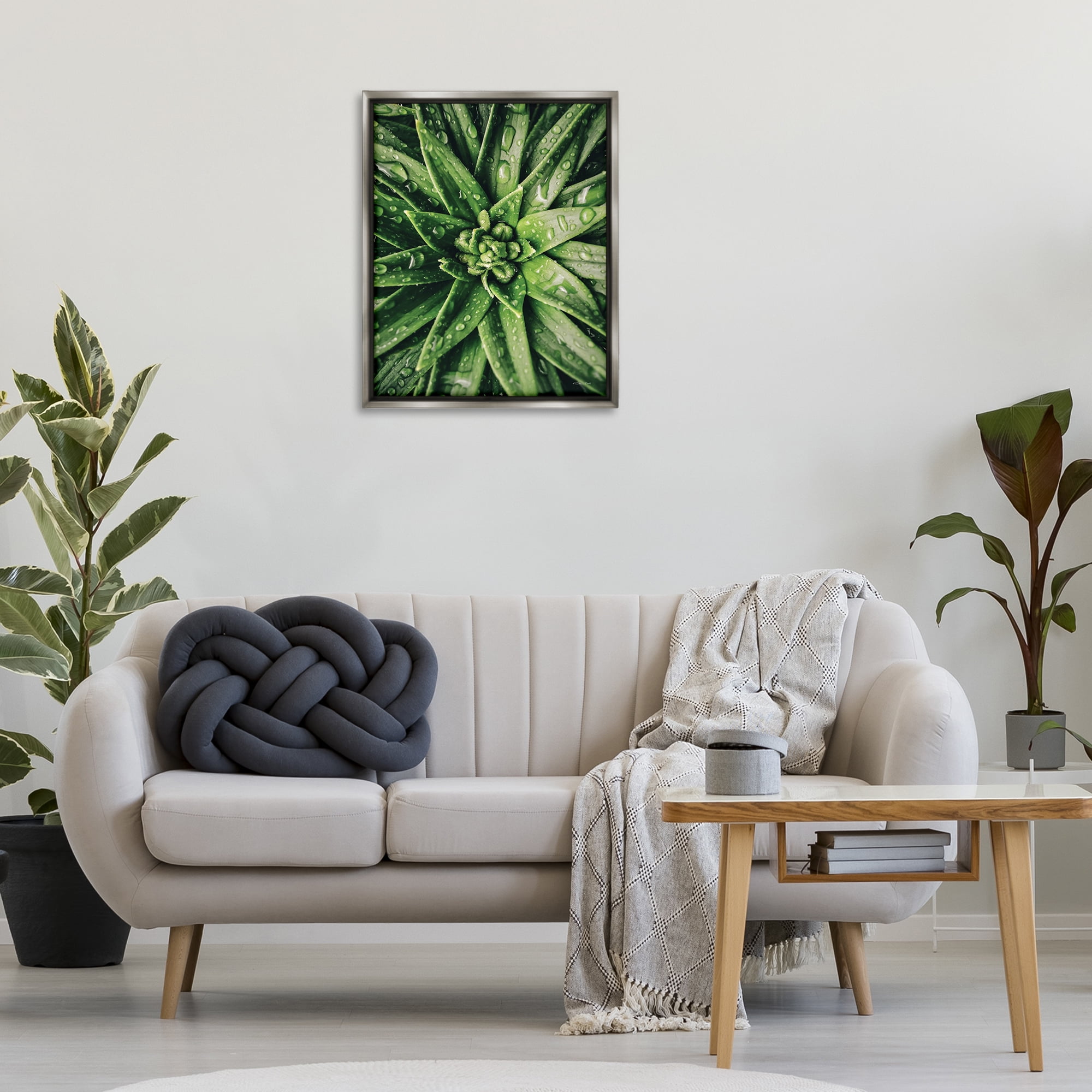 Stupell Industries Succulent in Rain Botanical & Floral Photography Gray Floater Framed Art Print Wall Art, 25 x 31