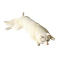 thumbnail image 4 of Figura de perro realista CUTICAT modelo de mascota 15cm, 4 of 8