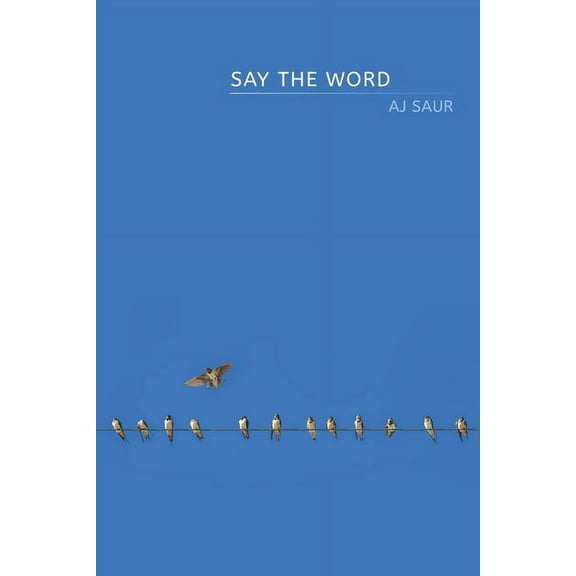Say the Word, (Paperback)
