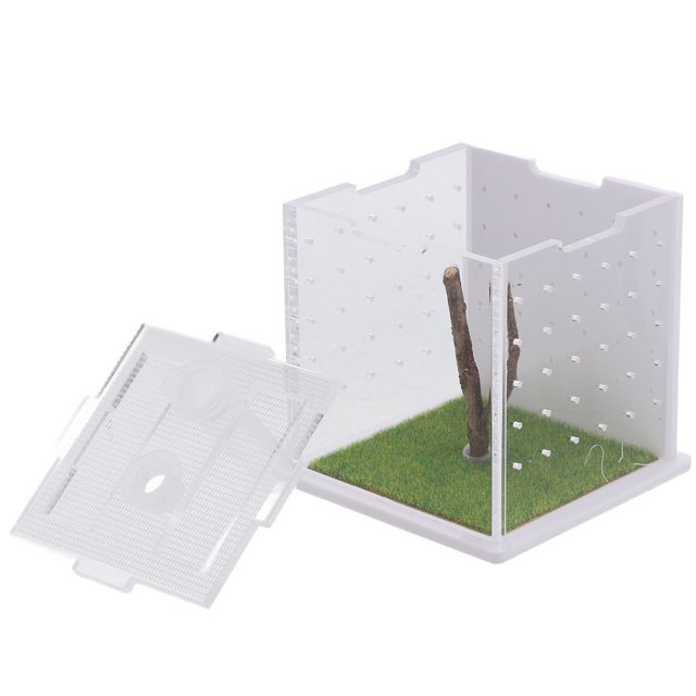 TABLZONE Terrario Transparente Para Saltarinas Acrílico Con Ventilación Para Observación Clara