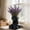 Black, variant on Face Shaped Decorative Vase, Modern Small Flower Pot for Home Office Bookshelf, Artistic Abstract Face plantsser for Desktop Shelf Display