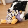 thumbnail image 1 of Juguetes para perros perfecl que chirrían Resistente a las mordeduras Material de tela, 1 of 7