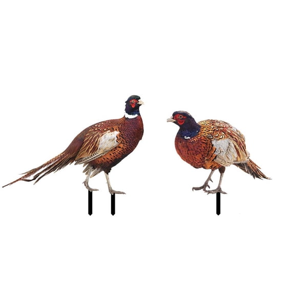 ABODELINE Generic Pheasant Figurine Animal Stakes Easter Decor Decorative Yard Stake Landscape Ornaments for Patio Courtyard Outdoor Lawn Yard