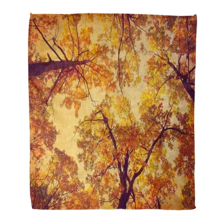 SIDONKU Throw Blanket Warm Cozy Print Flannel Blue Blank Autumn Trees Oak Sky in Retro Added Toned Brown Copy Comfortable Soft for Bed Sofa and Couch 50x60 Inches