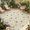 Beige, variant on Indoor Outdoor Area Rugs,Autumn Harvest Squirrel Acorn Washable Patio Rug Non-slip Quick Dry Camping Rugs,Fall Maple Leaves Floor Carpet for Porch Deck Backyard RV Decor,4x6ft