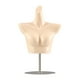 thumbnail image 2 of Maniquí femenino Torso Bra Maniquí Maniquí resistente Lencería independiente Soporte de piel plateada, 2 of 8