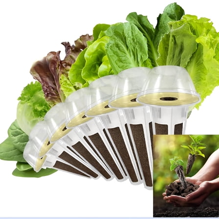 ZULAR Hydroponic Salad Kit,Lettuce Spinach Grow,Non-GMO Seeds,Easy Harvest,For Home Gardeners,All Systems Compatible,Organic Vegetables,Fresh Produce Kit