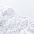 thumbnail image 6 of Fesfesfes Toddler Baby Bodysuit Girls Net Yarn Solid Color Rose Flower Romper Jumpsuit Short Skirt, 6 of 6