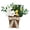 B-3, variant on Dxssxc Artificial Magnolia and Tulip Flower Basket with Bow, Spring and Summer Home Decor, Tabletop Centerpiece for Living Room, Bedroom, or Party, Faux Silk Floral Arrangement