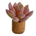 thumbnail image 2 of BotaniNest Colorful 3D Artificial Shape Aromatherapy Vent Car Love Air Stone Creative Perfume Car Diffuser Perfume Clip Conditioning Car Interior Accessories, 2 of 3