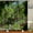 ndhd6956, variant on 3D tropical rainforest forest landscape printed shower curtain with hook bathroom waterproof polyester bath curtain home decor