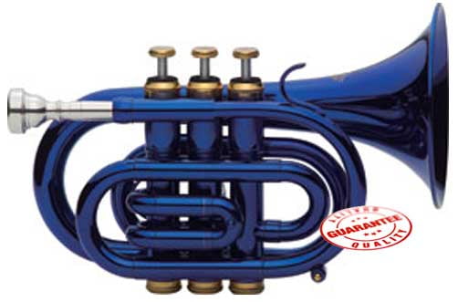 blue toy trumpet