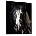 thumbnail image 2 of Designart "Black Horse White Serenity II" Animals Floater Framed Canvas Print, 2 of 7