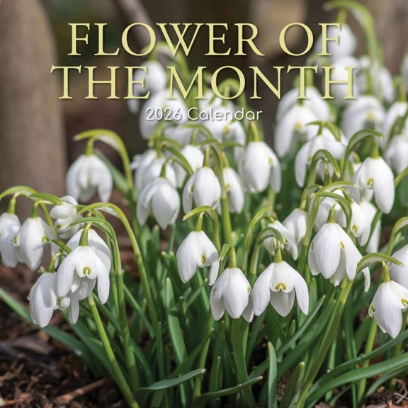 Gifted Stationery Co, Flower of the Month 2026 Wall Calendar, 12'' X 12'', 16-Month Calendar with Stapled Binding