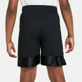 thumbnail image 2 of Boys 8-20 Nike Dri-FIT Elite 23 Basketball Shorts Color: Gray Size: XL PLUS, 2 of 5