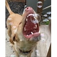 thumbnail image 4 of BubbleLick Bubble Treats Peanut Butter Flavored Bubbles for Dogs, 2.5 fl oz, 4 of 8