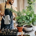 thumbnail image 4 of BotaniNest Fausses Vignes de Verdure Pothos Feuilles pour Mur Intérieur Cour, 4 of 6