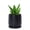 Glossy Black, variant on 8 Inch Ceramic Beaded Stoneware Planter Pot - Flower Pot with Drainage Holes and Saucers for Indoor Succulent Plants or Flowers, Pumpkin, 27-C-Q-J