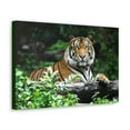 thumbnail image 2 of Majestic Tiger Art Majestic Tiger Print Animal Wall Art Wildlife Canvas Prints Wall Art Ready to Hang Unframed, 2 of 18