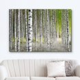 thumbnail image 2 of wall26 Canvas Print Wall Art White Birch Trees in Green Forest Nature Wilderness Photography Modern Art Rustic Scenic Colorful Multicolor for Living Room, Bedroom, Office - 32"x48", 2 of 5