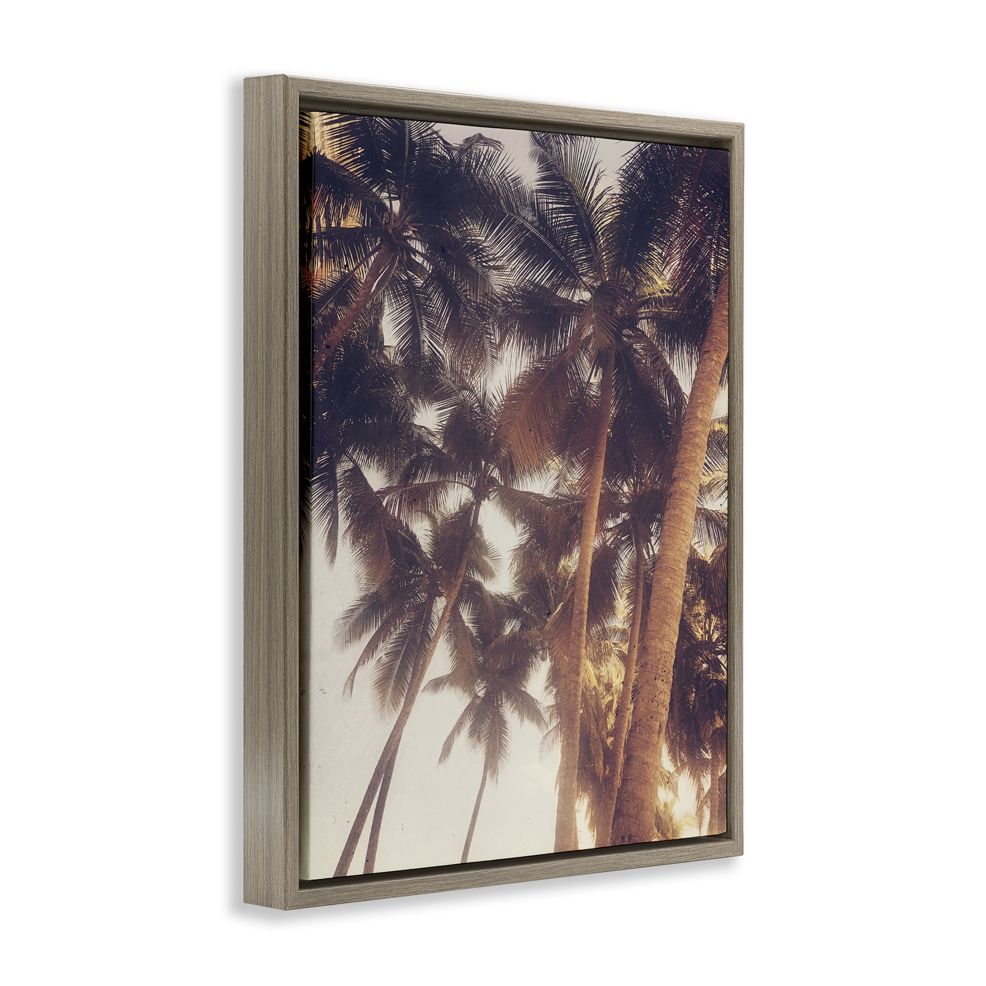Stupell Industries Sunlit Palm Tree Plants & Flowers Photography Brown Floater Framed Canvas Art Print Wall Art, 25 x 31
