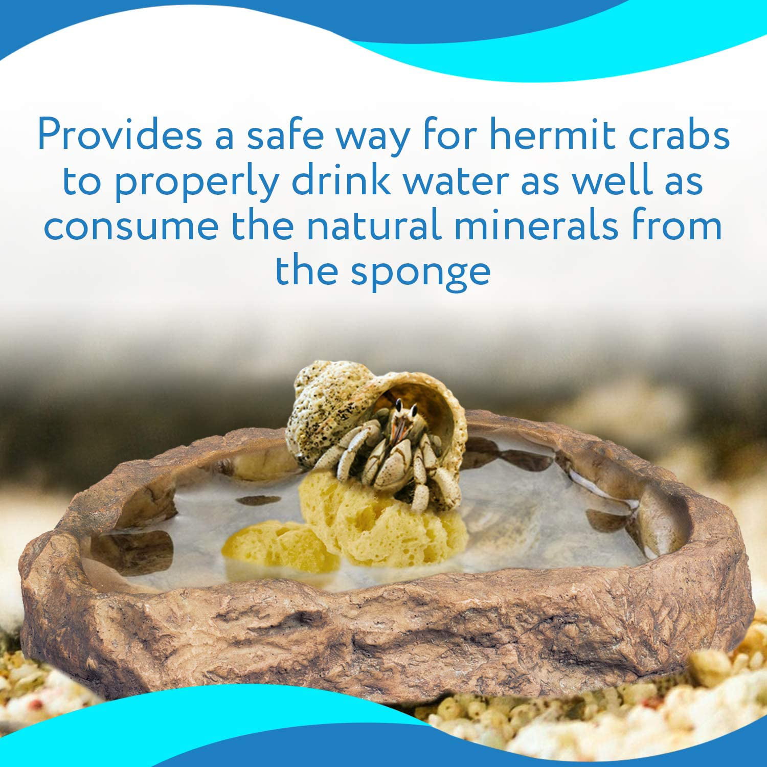 FMR Hermit Crab Swimming Pool / Water Sponge Dish 4 Bright Yellow New