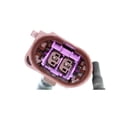 thumbnail image 2 of For 2013-2016 Touareg EGR Temperature Sensor, 2 of 2