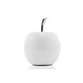thumbnail image 1 of Manzana Blanco SM Pomme Blanche, 1 of 1