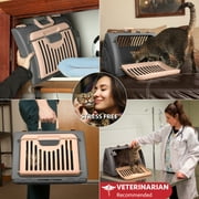 Sport Pet Cat Carrier & Bed