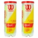thumbnail image 1 of Pelotas Tenis Wilson 2 Botes 6 Pcs Championship Presurizadas Wilson COMBO-WILSON-03, 1 of 4