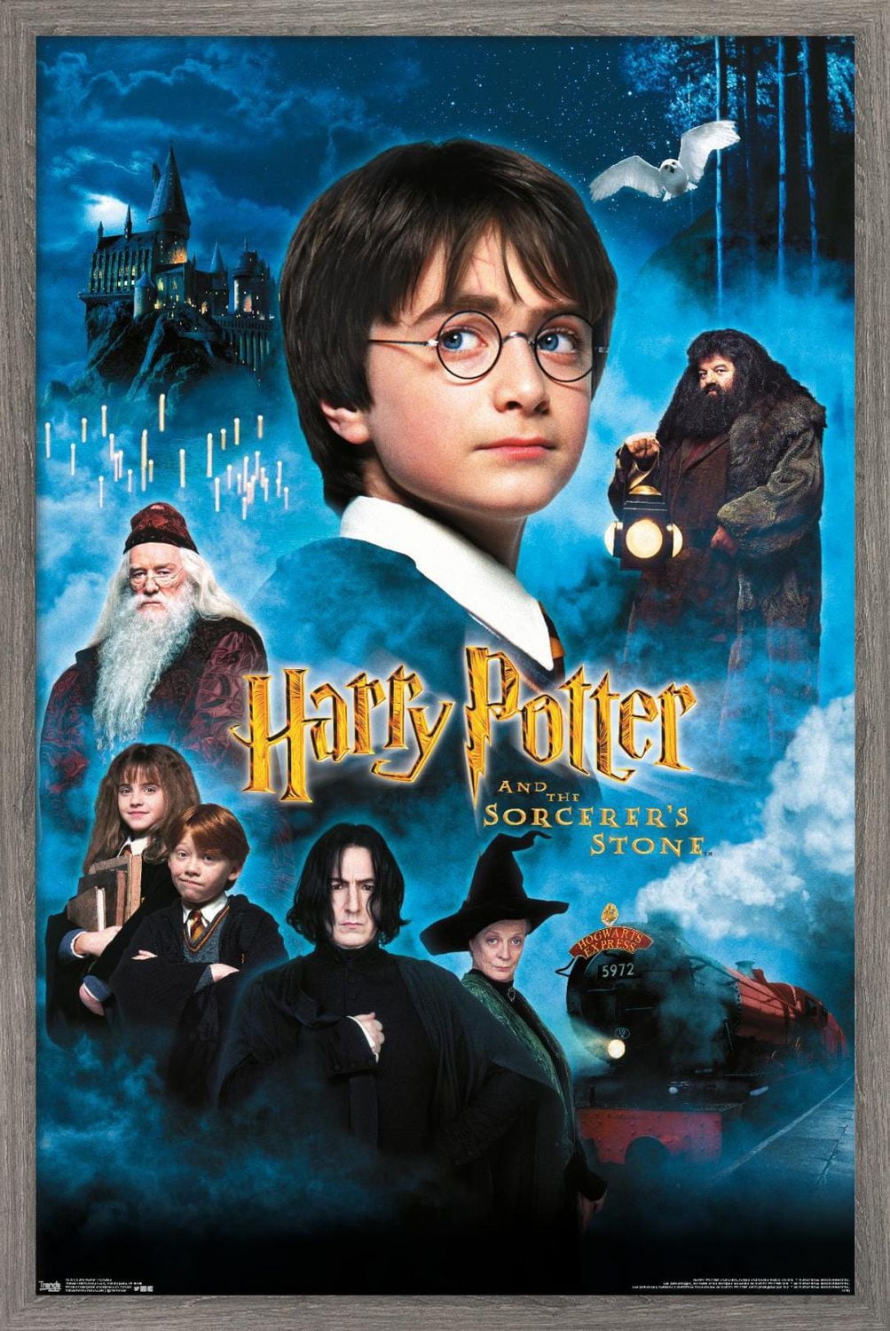 Harry Potter and the Sorcerer's Stone - Candles One Sheet Wall Poster, 22.375" x 34"