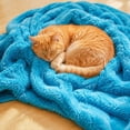 thumbnail image 5 of Fleece Blanket Super Soft Fluffy Faux Fur Throw Blanket for Couch Fuzzy Sherpa Fleece Cozy Warm Gifts for Women Room Decor Christmas Plush Thick Throw for Men Minky Teen Gifts 30"x50", 5 of 6