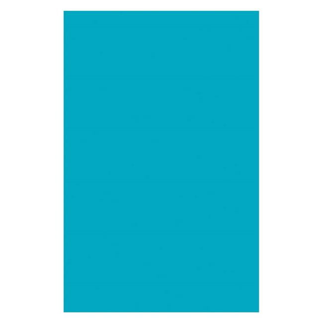 Pacon PAC72750 11 x 17 in. Plastic Art Sheets Azure