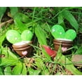 thumbnail image 2 of 2x / set Decoración para el hogar de plantas suculentas de cactus artificiales realistas Sunnimix Plantas suculentas artificiales, 2 of 8