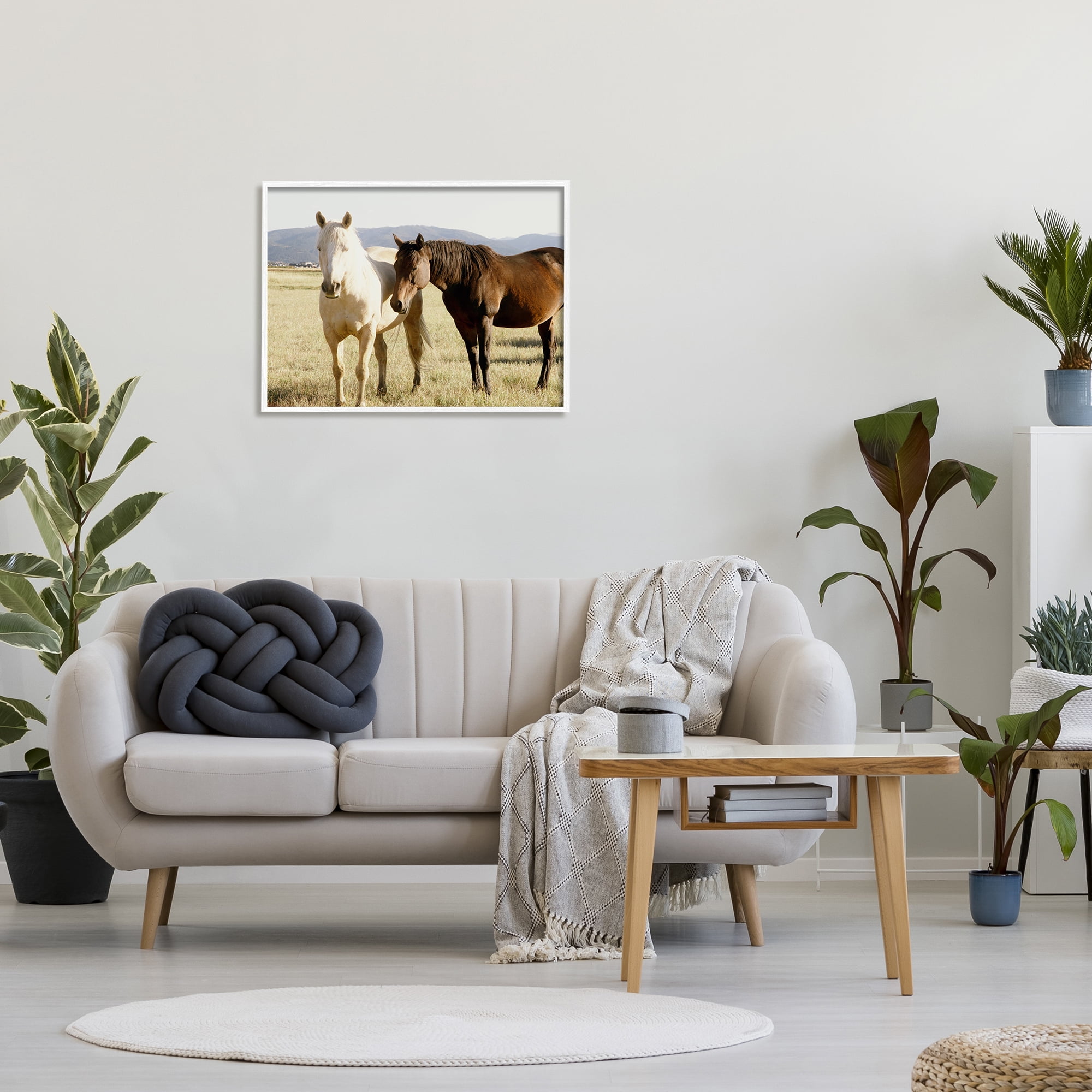 Stupell Rural Horses Animal Nature Photography Animals & Insects Photography White Framed Art Print Wall Art