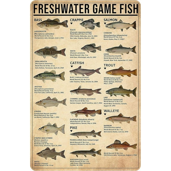 Boy's Fishing Gifts Vintage Fresh Water Gamefish Knowledge Tin Sign for Man Cave Boys Hunting Room Bedroom Lake House Cabin Wall Art Decor 8x12 Inch (3069)