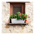 thumbnail image 4 of Plastic Rectangle Pot,1Pack White Portable Planter Windowsill Box for Indoor,12x3.8x4.6In Reusable Herb Planter for Garden,Balcony,Office, 4 of 6