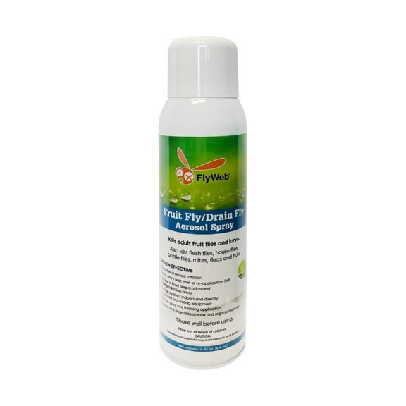 FlyWeb Fruit Fly/Drain Fly Aerosol Spray - 14 oz Can by Gardner