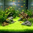 thumbnail image 4 of Arena Luminiscente para Acuarios: Grava Decorativa Luminosa, Piedras Noctilucentes para Peceras de Peces Betta y Gambas. Piedras Que Brillan En La Oscuridad para Decoración Subacuática., 4 of 6