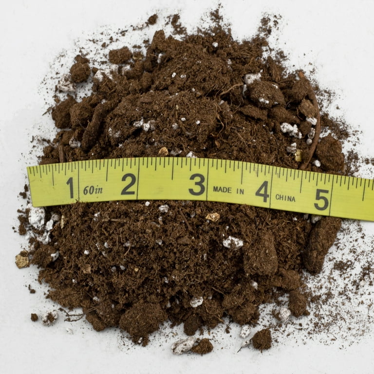 Succulent Potting Soil Mix (8 Quarts), Hand Blended Fast Draining