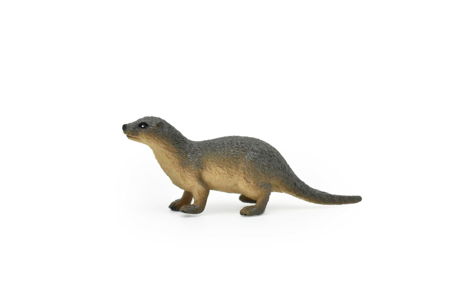 River Otter Toy, Realistic Museum Quality Rubber Otter Replica 3