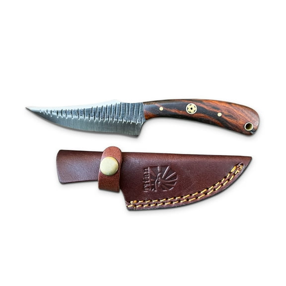 Titan International Knives 8" 1080 High Carbon Steel EDC hand Forged Fixed Blade Kitchen Knife Walnut Wood Handle includes Leather Sheath Perfect for Camping BBQ or even Hunting