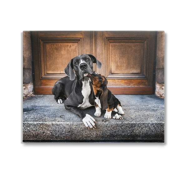 Stupell Industries Dogs on Doorstep Animals & Insects Painting Gallery Wrapped Canvas Art Print Wall Art, 20 x 16