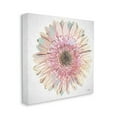 thumbnail image 3 of Stupell Industries Round Daisy Petal Design Flower Blossom Illustration Graphic Art Gallery Wrapped Canvas Print Wall Art, Design by Michele Norman, 3 of 5