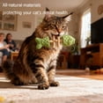 thumbnail image 2 of 2026 New Upgraded Natural Dental Chew Sticks with Silvervine, Catnip & Gall Fruit, 3pc Cat Chew Toys, Edible Chews Toy Sticks for Indoor Pets, 2 of 7