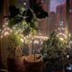 thumbnail image 3 of Luces solares para jardín al aire libre, 2 piezas, 120 LED, fuegos artificiales solares, guirnalda de luces solares de 8 modos para jardín al aire libre, césped, terraza, decoración navideña, 3 of 4